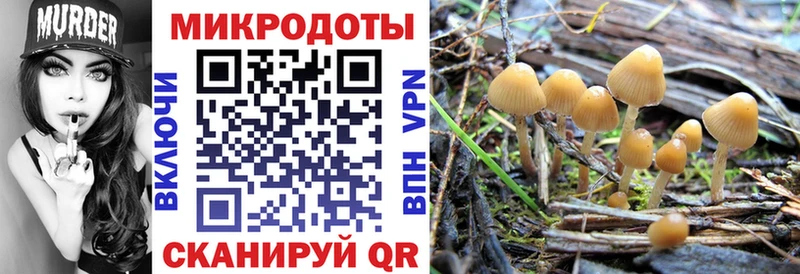 Галлюциногенные грибы Psilocybe  MEGA маркетплейс  это клад  Ряжск 